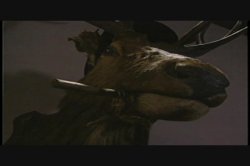 'Ultimate Kobe Tai, The' screenshot nº 96