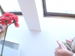 'Internal Violations #2' screenshot nº 15