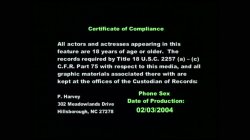 'Nina Hartley's Guide to Strap-On Sex' screenshot nº 3