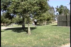 Captura de 'Black Voyer' nº 46