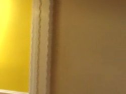 Captura de 'Pigtail Cuties #4' nº 46