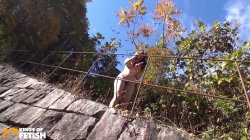 Captura de 'Japanese Farm Girl Adventures' nº 63