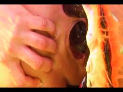Captura de 'Insexts' nº 45