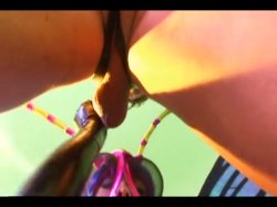 Captura de 'Insexts' nº 51