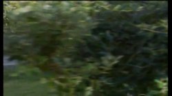 'Beast' screenshot nº 4