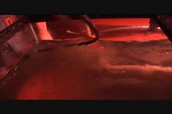 'Avenue X' screenshot nº 2