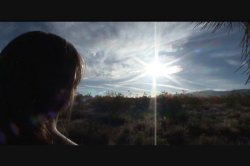 'Avenue X' screenshot nº 40