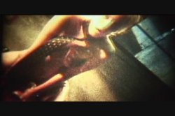 'Avenue X' screenshot nº 112