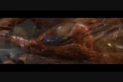 Captura de 'Latex Therapy' nº 34