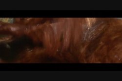 Captura de 'Latex Therapy' nº 37