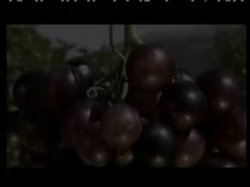 'Stavros 2 (Italian)' screenshot nº 72