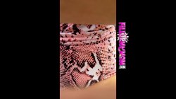 Captura de 'POV of Me Anal Fucking My Stepmom' nº 74
