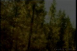 'Screaming Joy' screenshot nº 47