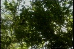 'Screaming Joy' screenshot nº 2