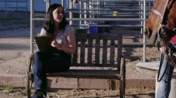 Captura de 'Double Booked 2: Ranch Vacation' nº 3