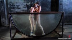 Captura de 'Arms & Legs Tied, Lea Becomes Chanel's Pussy Eating Slave!' nº 135