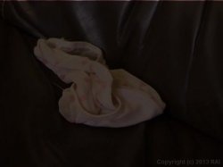 'My Sexy Kittens #40' screenshot nº 65
