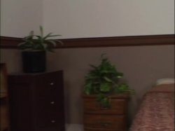 'Cherokee & GiGi Are BFF's (Best Fuck Friends!)' screenshot nº 136