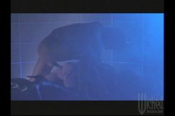 Captura de 'Sleepy Swallows' nº 41