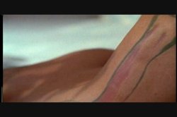 Captura de 'And the Winner Is... Christy Canyon' nº 11