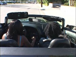 'Big Ass Party 2' screenshot nº 121