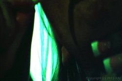 'New Celluloid Trash 2' screenshot nº 65