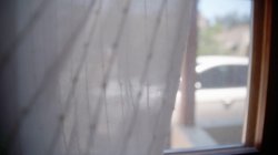 Captura de 'Temptation 5' nº 2