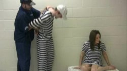 Captura de 'Scenes From The Jerkyville Jail Vol. 2' nº 71