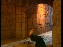 'Castle Danube' screenshot nº 93