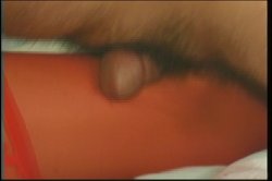 Captura de 'Legman's Lassies 2' nº 28