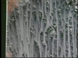 'Lactamania 4' screenshot nº 100