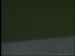'Lactamania 4' screenshot nº 122