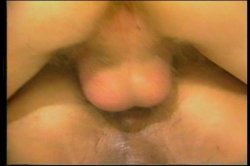 'Cocks in Frocks 4' screenshot nº 105
