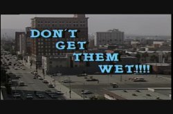 Captura de 'Don't Get Them Wet' nº 1
