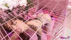 Captura de 'Pink Room Ep. 19 Eden Ivy is an Anal Fucktoy Deepthroat Slut' nº 28