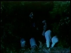 Captura de 'Nina Hartley's Tramps' nº 71