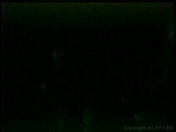 Captura de 'Nina Hartley's Tramps' nº 72