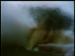 Captura de 'Nina Hartley's Tramps' nº 86
