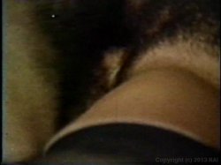 Captura de 'Nina Hartley's Tramps' nº 118