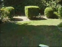 'Dirty 30 Cum Sluts 3' screenshot nº 30