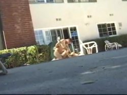 'Dirty 30 Cum Sluts 3' screenshot nº 8