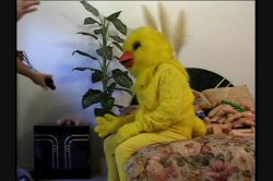 Captura de 'Porn's Most Outrageous Outtakes' nº 92
