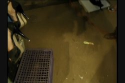 Captura de 'Porn's Most Outrageous Outtakes' nº 103