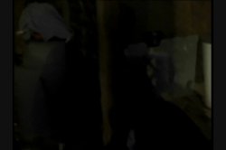 Captura de 'Porn's Most Outrageous Outtakes' nº 104