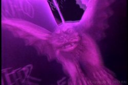 'Evil Eyes' screenshot nº 112