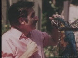 'Virgin Dreams' screenshot nº 15