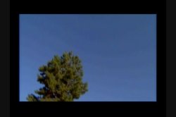 'Pussy Worship' screenshot nº 75