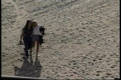 Captura de 'American Sweethearts' nº 3