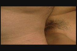 'While The Cat's Away' screenshot nº 89
