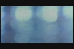 'Stray Cat' screenshot nº 95